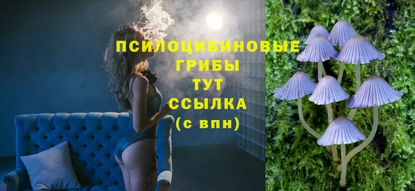 PSILOCYBIN Бородино